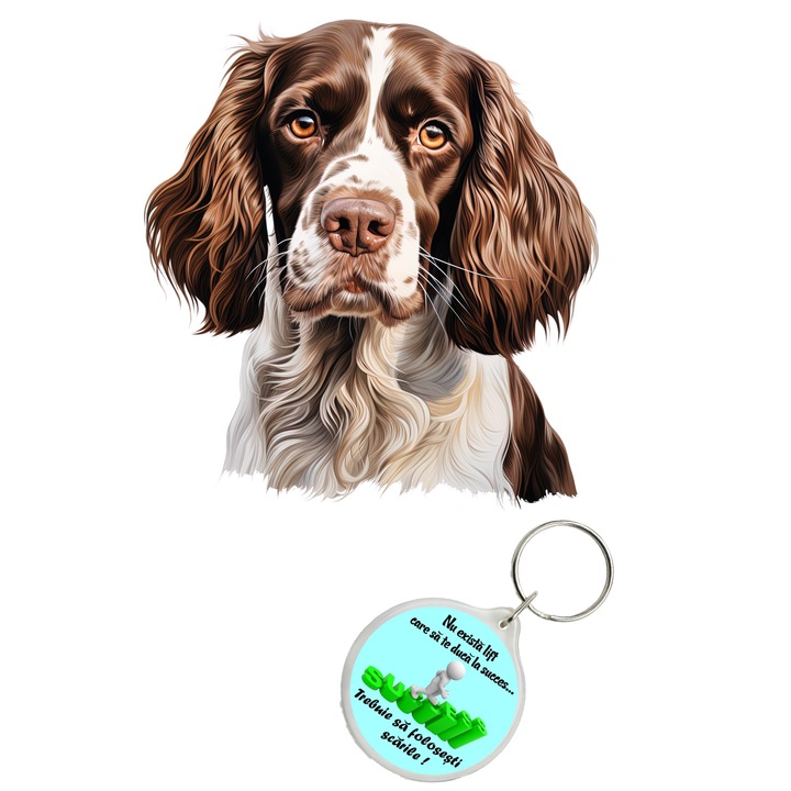 Set sticker decorativ perete, auto si geam, Caine -English Springer Spaniel model 2, 35 CM si breloc succes