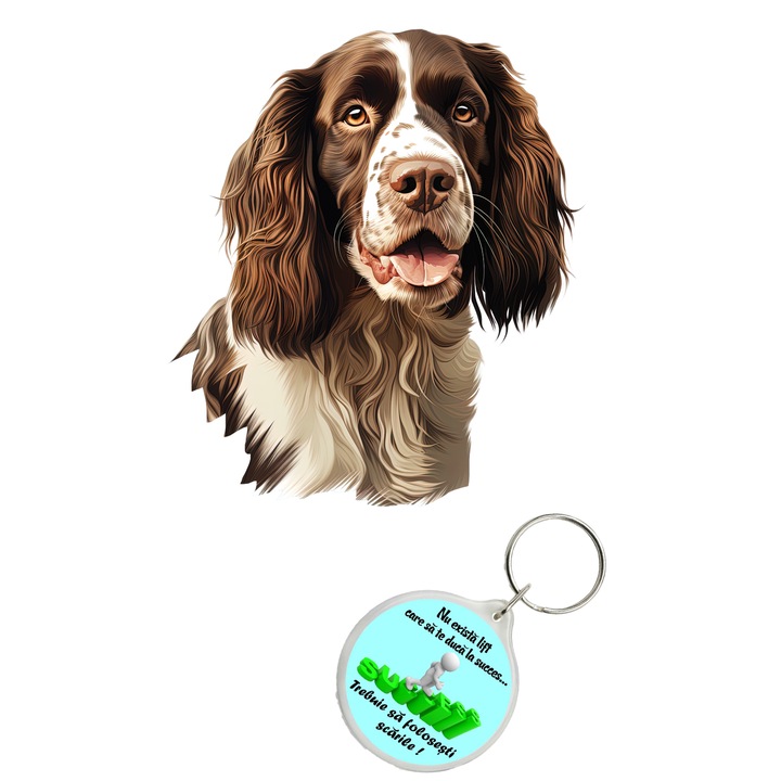 Set sticker decorativ perete, auto si geam, Caine -English Springer Spaniel model 1, 40 CM si breloc succes