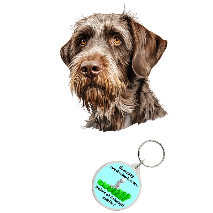 Set sticker decorativ perete, auto si geam, Caine -German Wirehaired model 1, 40 CM si breloc succes