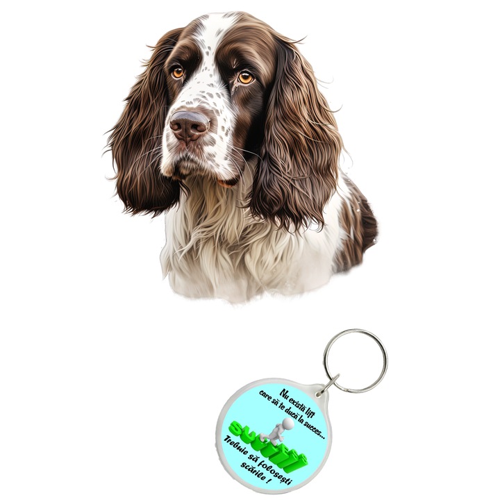 Set sticker decorativ perete, auto si geam, Caine -English Springer Spaniel model 3, 35 CM si breloc succes