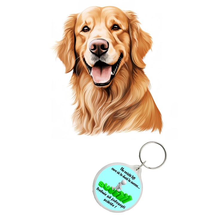 Set sticker decorativ perete, auto si geam, Caine -Golden Retrieve, 25 CM si breloc succes