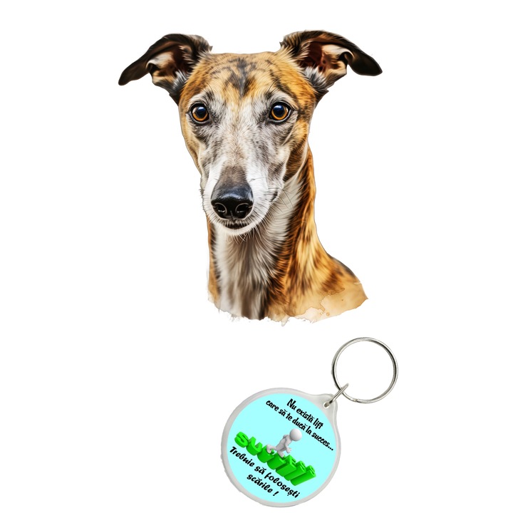 Set sticker decorativ perete, auto si geam, Caine -Greyhound model 1, 40 CM si breloc succes