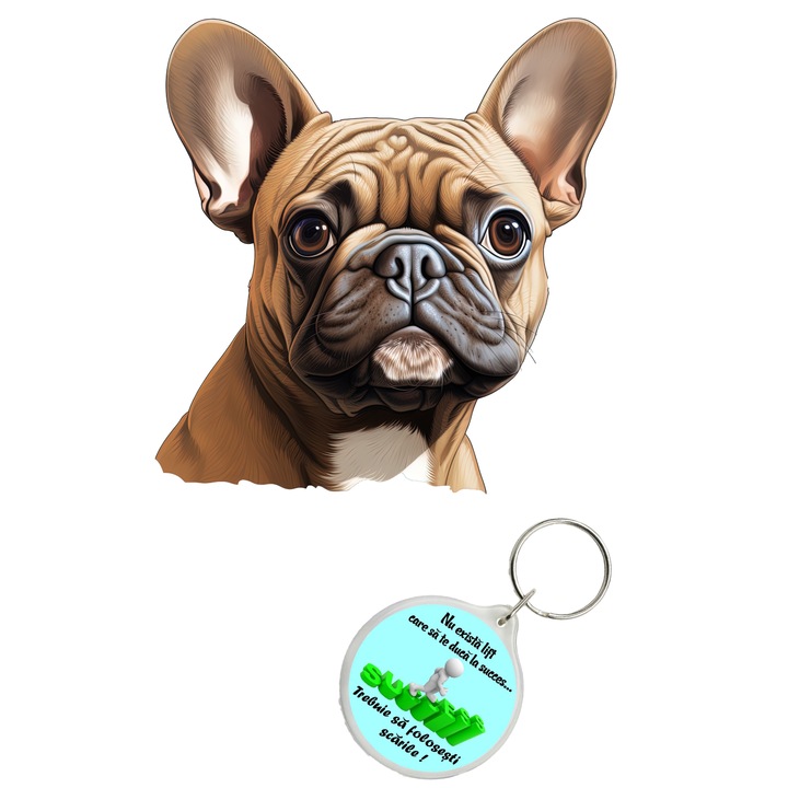 French bull cheap troller pret