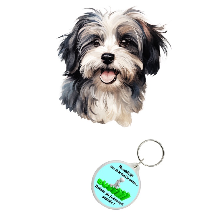 Set sticker decorativ perete, auto si geam, Caine -Havanese model 2, 35 CM si breloc succes