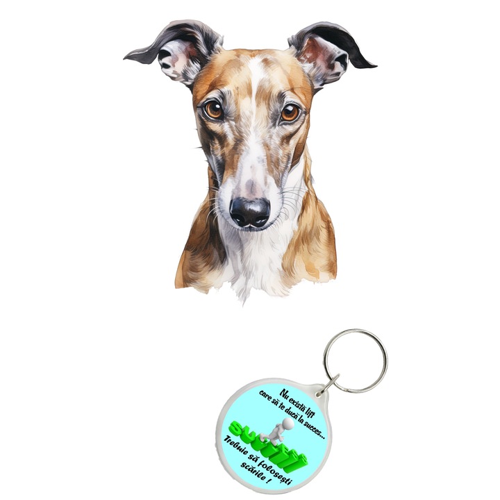Set sticker decorativ perete, auto si geam, Caine -Greyhound model 3, 40 CM si breloc succes