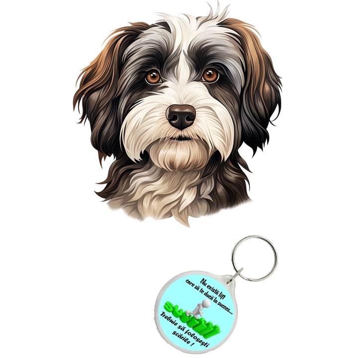 Set sticker decorativ perete, auto si geam, Caine -Havanese model 4, 40 CM si breloc succes