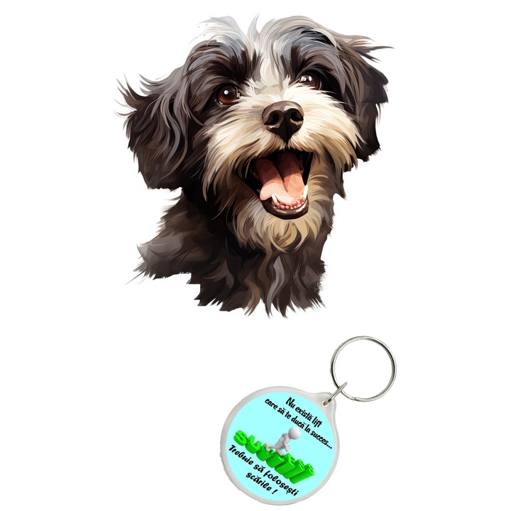 Set sticker decorativ perete, auto si geam, Caine -Havanese model 1, 40 CM si breloc succes