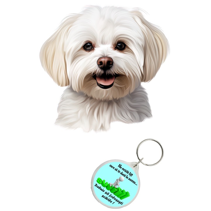 Set sticker decorativ perete, auto si geam, Caine -Maltese model 3, 35 CM si breloc succes