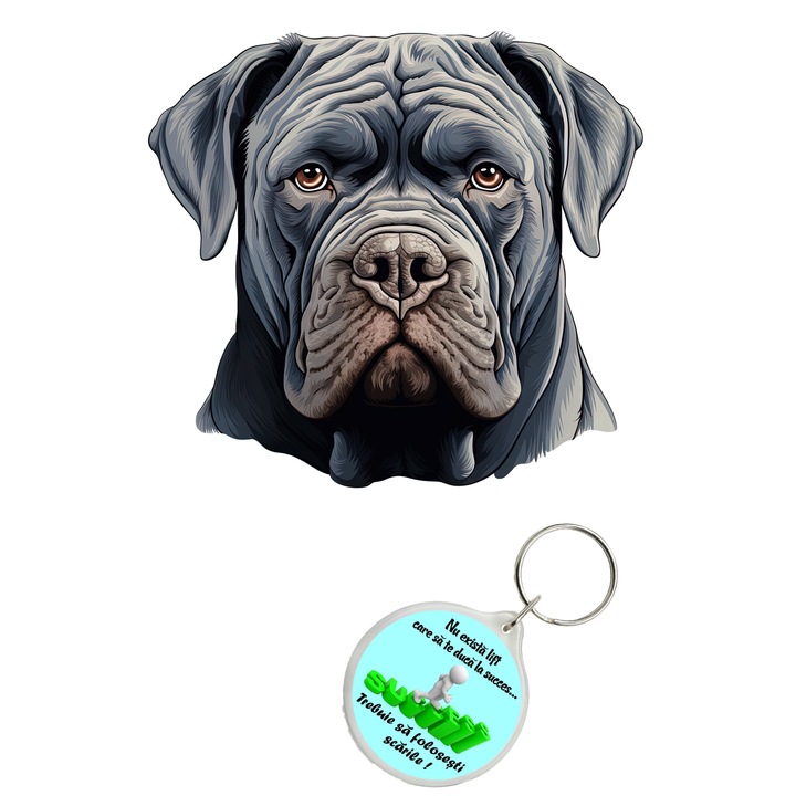 Set sticker decorativ perete, auto si geam, Caine -Neapolitan Mastiff model 4, 35 CM si breloc succes