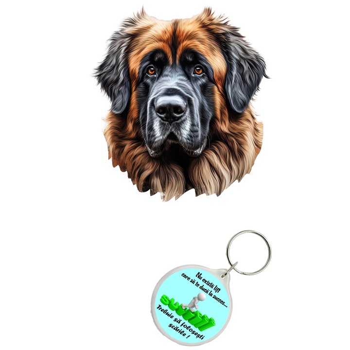 Set sticker decorativ perete, auto si geam, Caine -Leonberger model 5, 40 CM si breloc succes