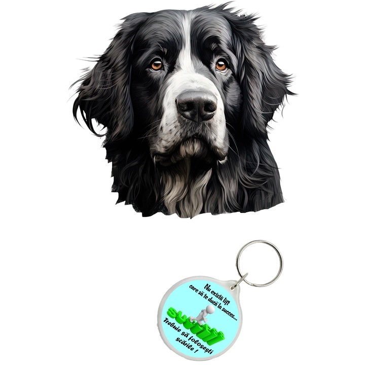 Set sticker decorativ perete, auto si geam, Caine -Newfoundland model 4, 35 CM si breloc succes