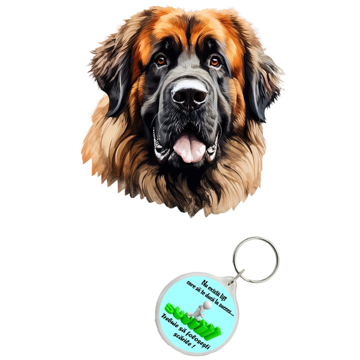 Set sticker decorativ perete, auto si geam, Caine -Leonberger model 2, 35 CM si breloc succes