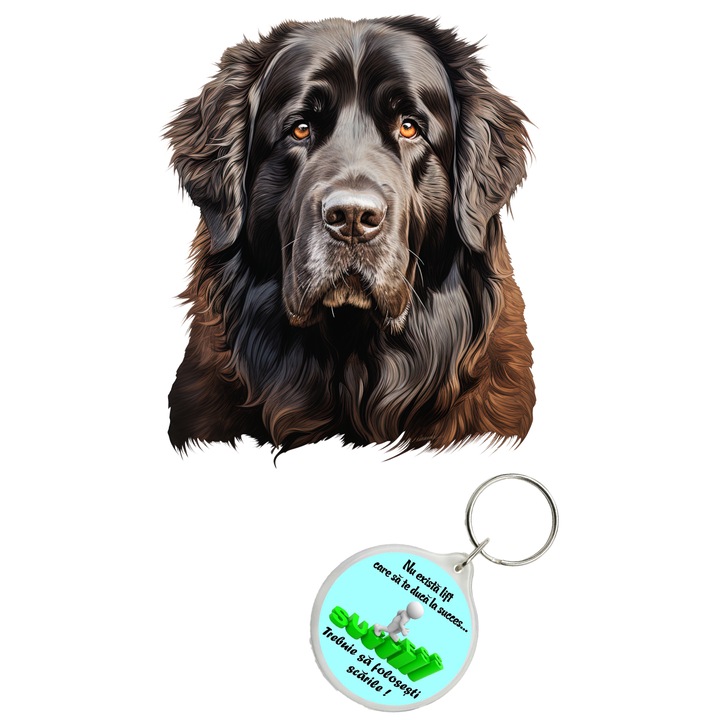 Set sticker decorativ perete, auto si geam, Caine -Newfoundland model 1, 35 CM si breloc succes