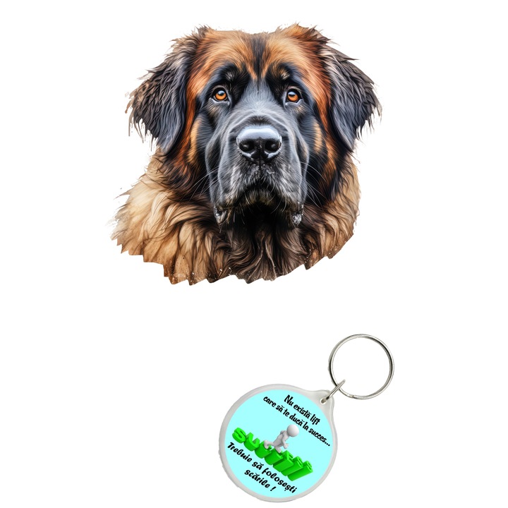 Set sticker decorativ perete, auto si geam, Caine -Leonberger model 1, 40 CM si breloc succes
