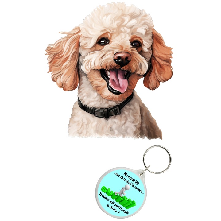 Set sticker decorativ perete, auto si geam, Caine -Poodle Dog, 40 CM si breloc succes