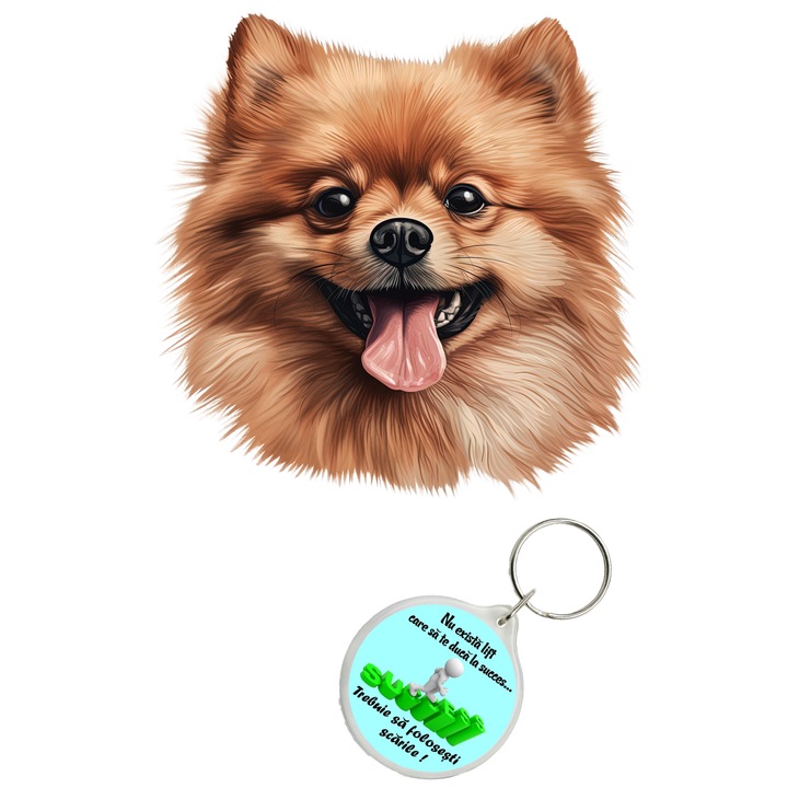 Set sticker decorativ perete, auto si geam, Caine -Pomeranian model 2, 20 CM si breloc succes