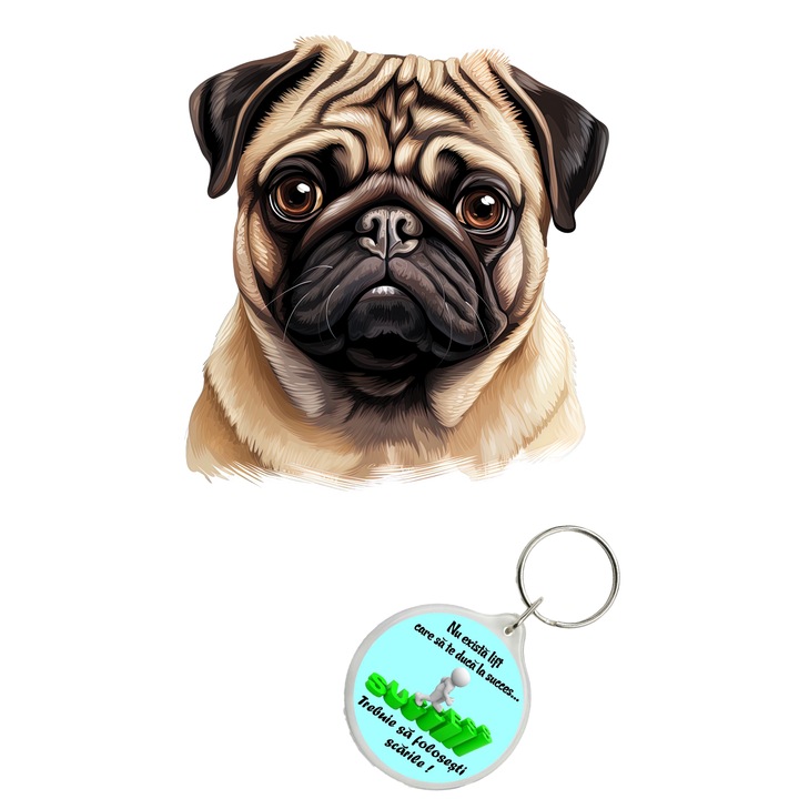 Set sticker decorativ perete, auto si geam, Caine -Pug model 8, 40 CM si breloc succes