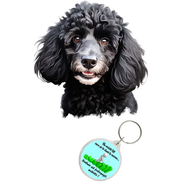 Set sticker decorativ perete, auto si geam, Caine -Poodle model 1, 40 CM si breloc succes