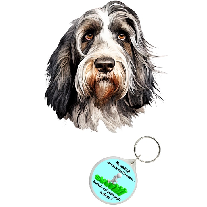 Set sticker decorativ perete, auto si geam, Caine -Petite Basset Griffon Vendeen model 3, 35 CM si breloc succes