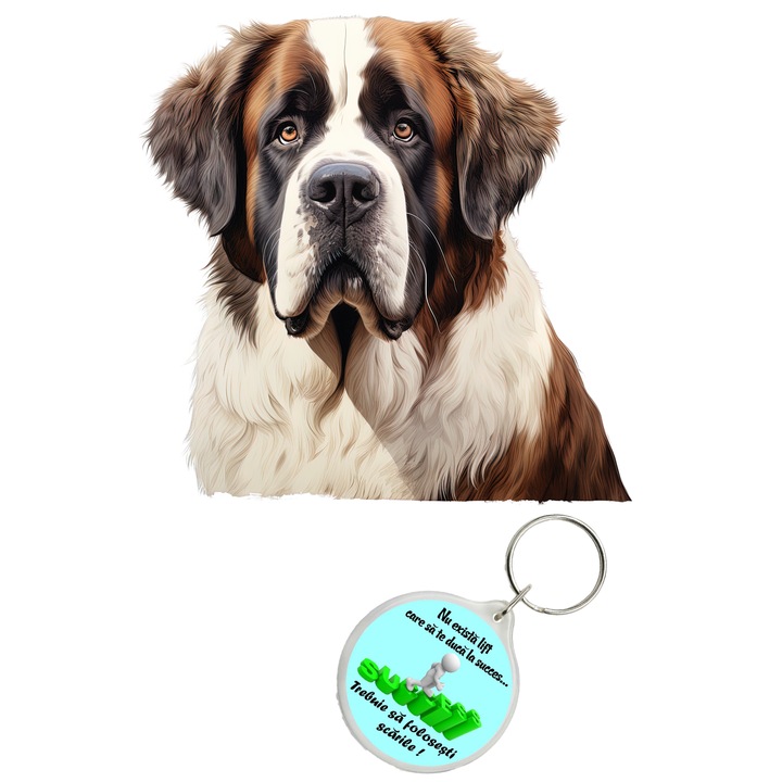 Set sticker decorativ perete, auto si geam, Caine -Saint Bernard model 3, 35 CM si breloc succes