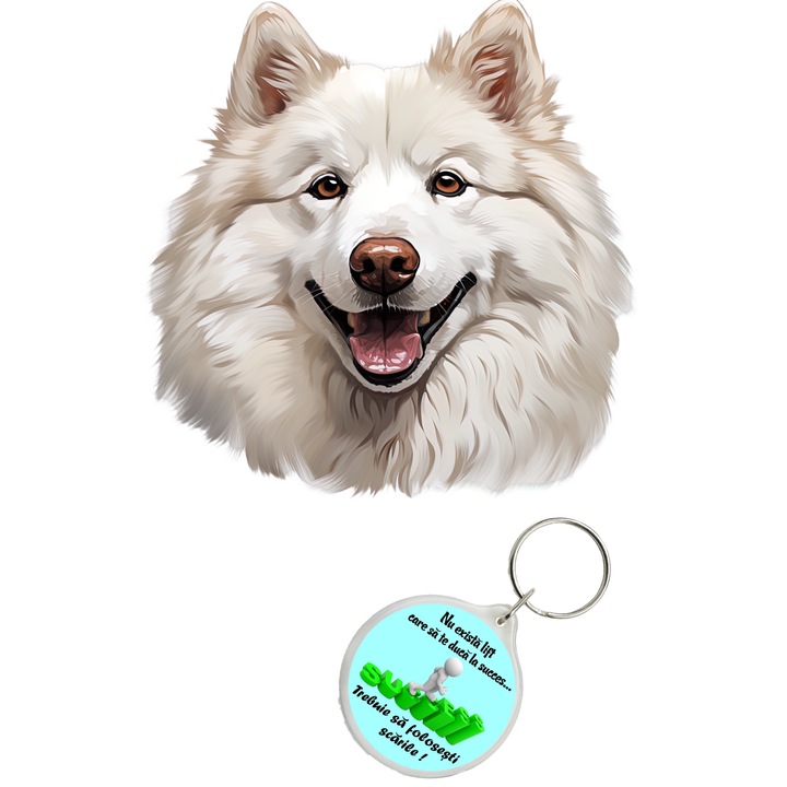 Set sticker decorativ perete, auto si geam, Caine -Samoyed model 3, 30 CM si breloc succes
