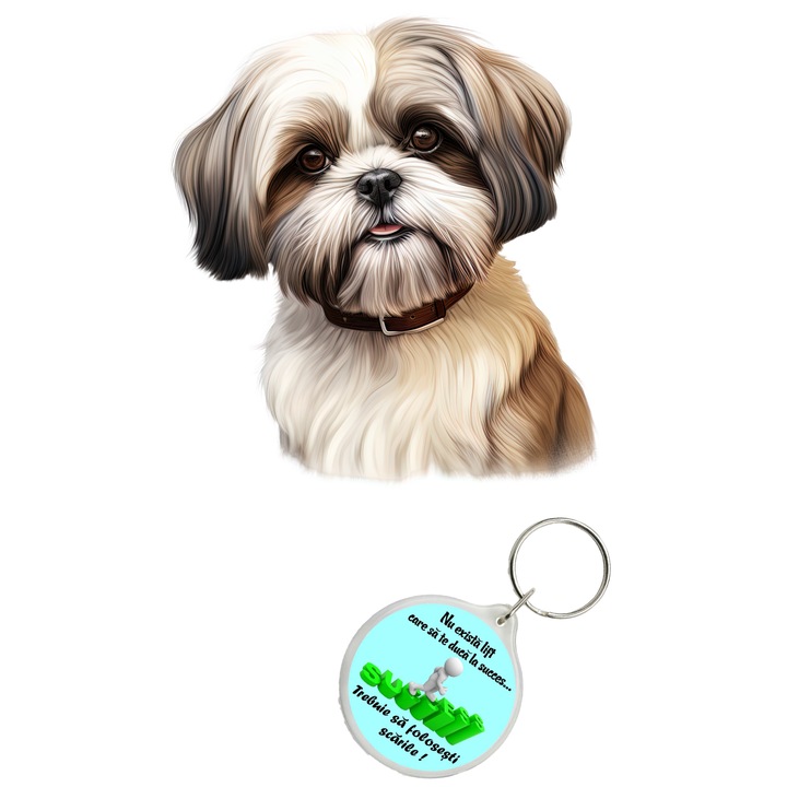 Set sticker decorativ perete, auto si geam, Caine -Shih Tzu model 6, 35 CM si breloc succes