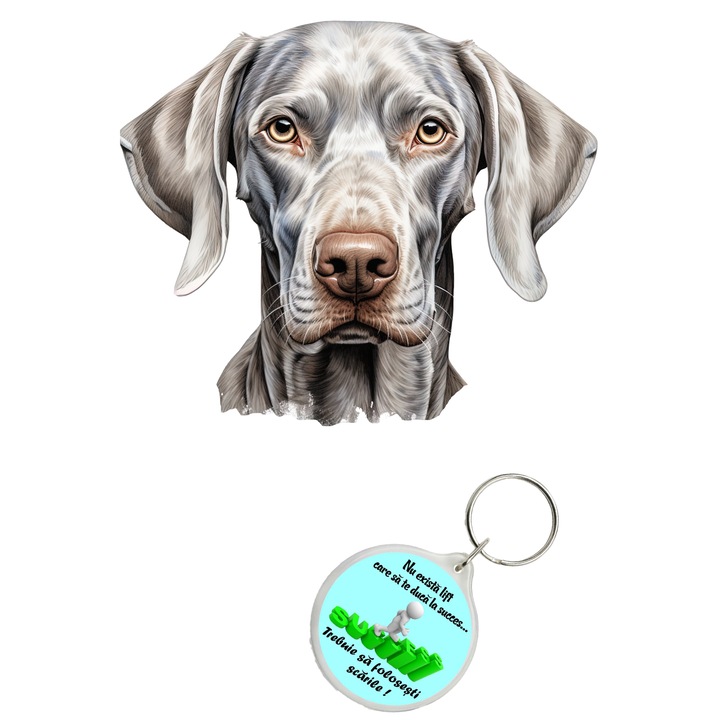 Set sticker decorativ perete, auto si geam, Caine -Weimaraner model 3, 20 CM si breloc succes