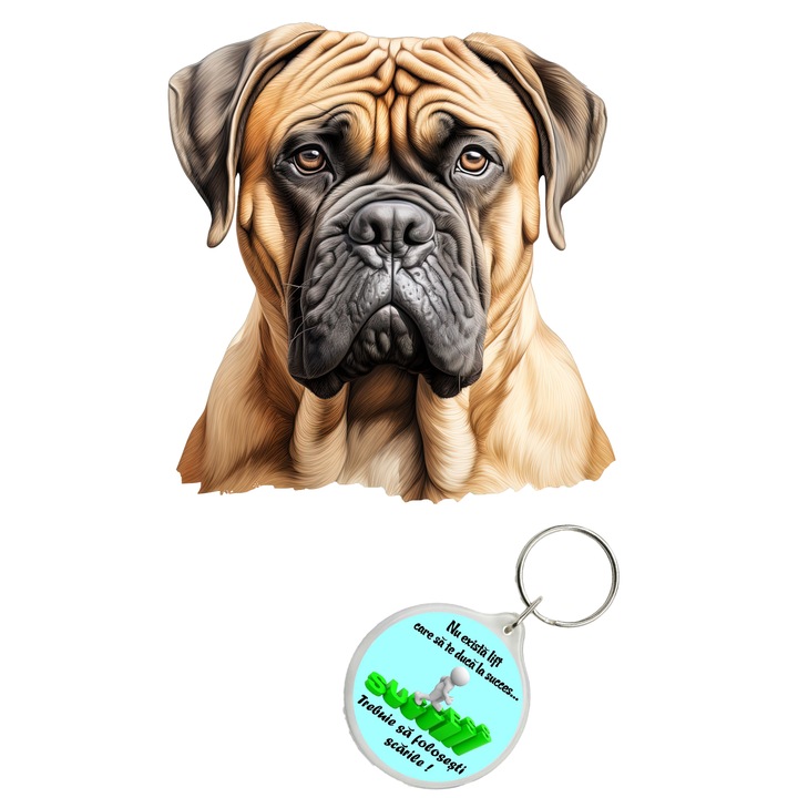 Set sticker decorativ perete, auto si geam, Caine -Bullmastiff model 3, 35 CM si breloc succes