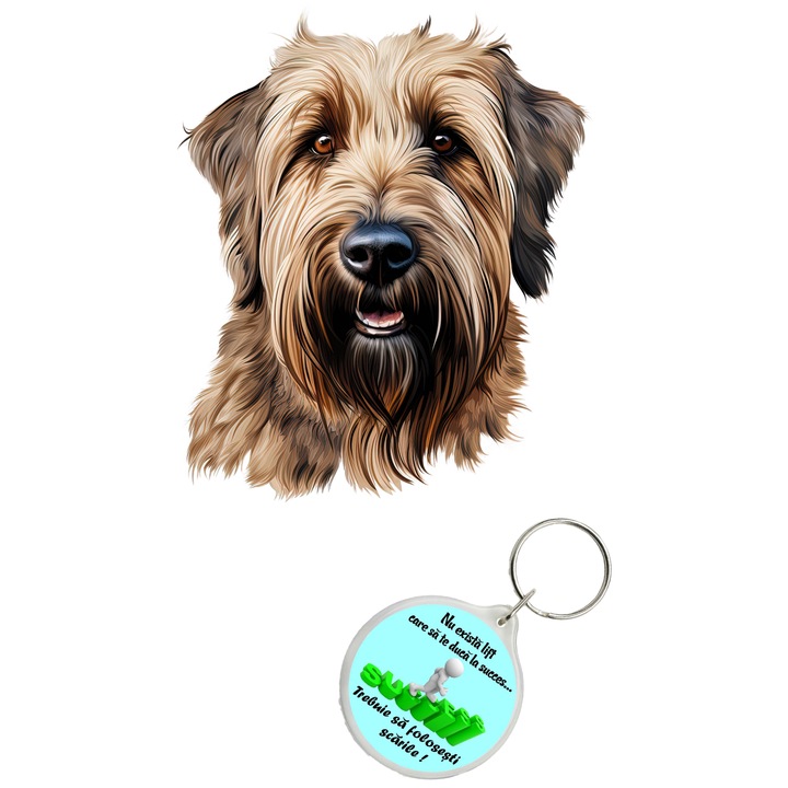 Set sticker decorativ perete, auto si geam, Caine -Briard model 4, 40 CM si breloc succes