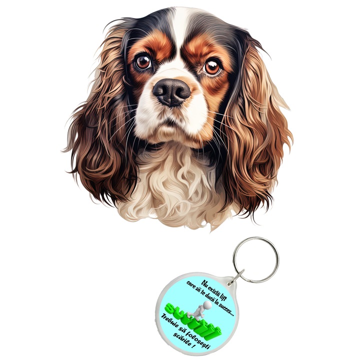 Set sticker decorativ perete, auto si geam, Caine -Cavalier King Charles Spaniel Portrait model 13, 40 CM si breloc succes