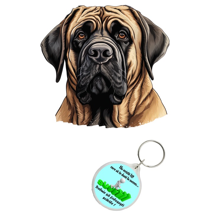 Set sticker decorativ perete, auto si geam, Caine -English Mastiff model 1, 40 CM si breloc succes