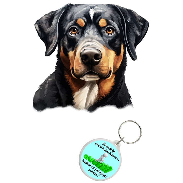 Set sticker decorativ perete, auto si geam, Caine -Entlebucher model 3, 40 CM si breloc succes