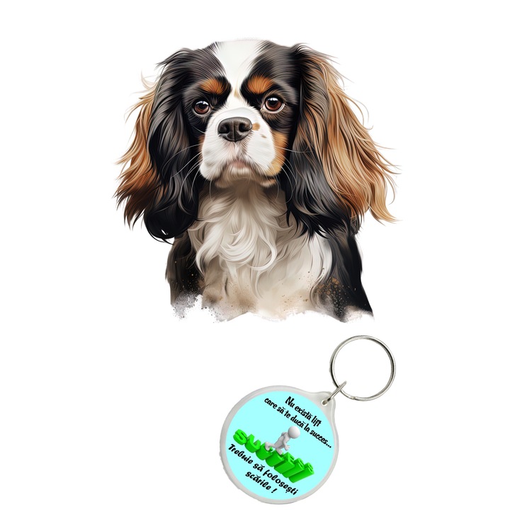 Set sticker decorativ perete, auto si geam, Caine -Cavalier King Charles Spaniel Portrait model 14, 40 CM si breloc succes