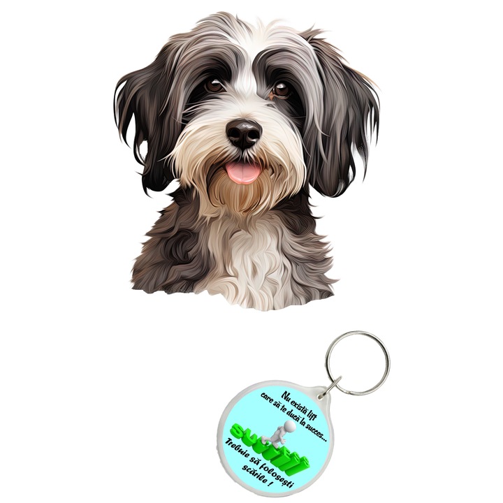 Set sticker decorativ perete, auto si geam, Caine -Lowchen Dog model 3, 35 CM si breloc succes