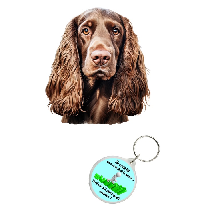 Set sticker decorativ perete, auto si geam, Caine -English Cocker Spaniel model 1, 20 CM si breloc succes