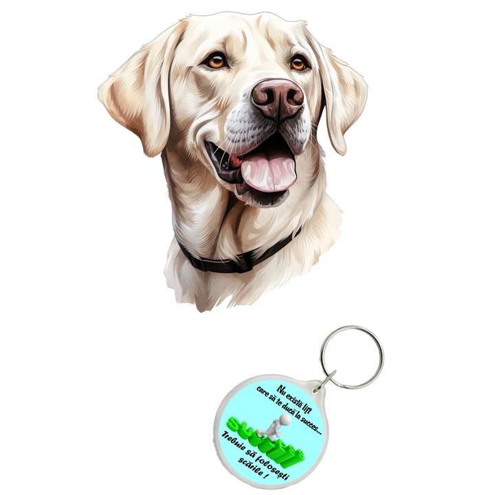 Set sticker decorativ perete, auto si geam, Caine -Labrador Retriever Dog model 1, 35 CM si breloc succes