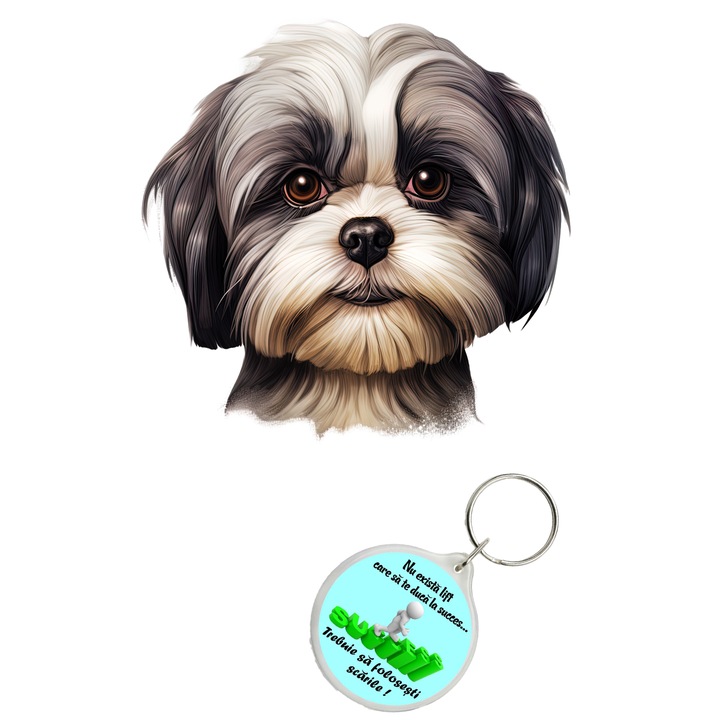 Set sticker decorativ perete, auto si geam, Caine -Shih Tzu model 4, 35 CM si breloc succes