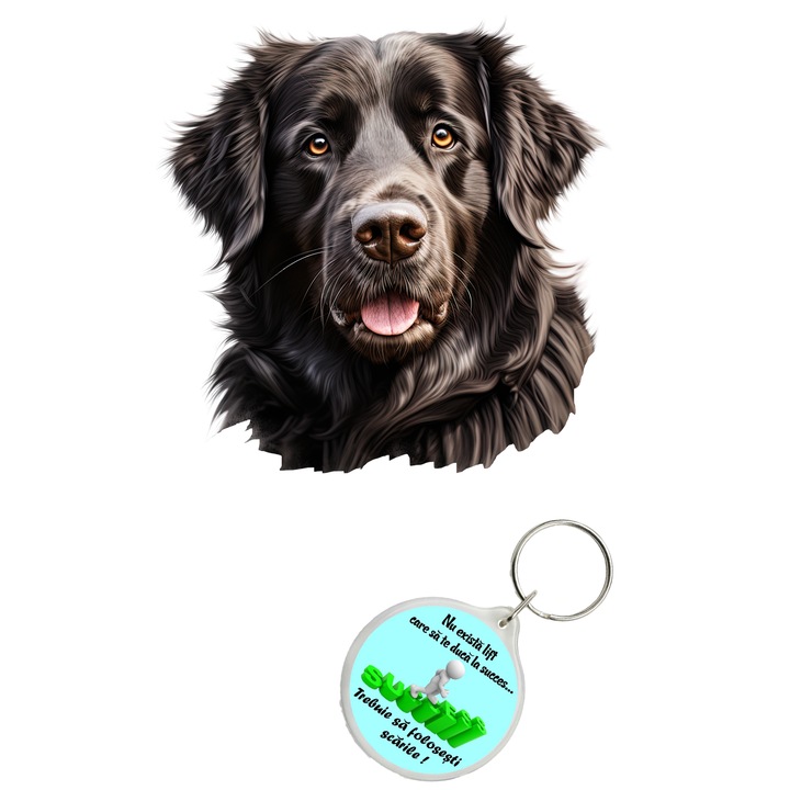 Set sticker decorativ perete, auto si geam, Caine -Newfoundland model 3, 35 CM si breloc succes