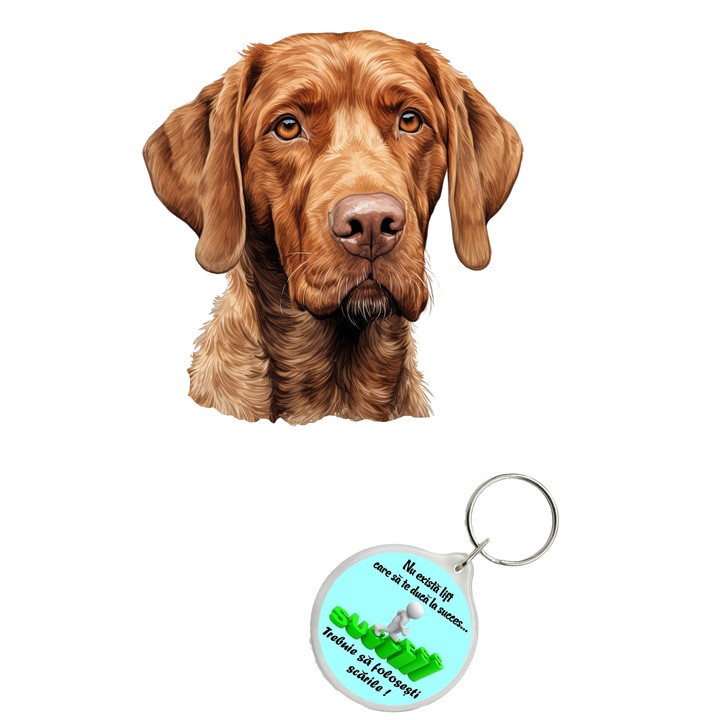 Set sticker decorativ perete, auto si geam, Caine -Wirehaired Vizsla model 2, 20 CM si breloc succes