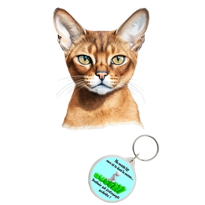 Set sticker decorativ perete, auto si geam, Pisica - Abyssinian model 3, 40 CM si breloc succes