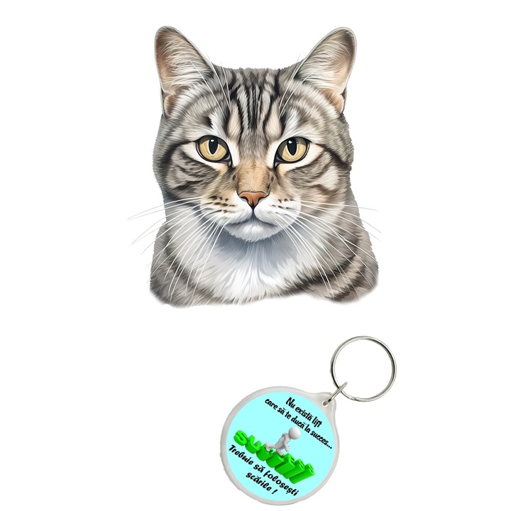 Set sticker decorativ perete, auto si geam, Pisica - American Wirehair model 1, 40 CM si breloc succes