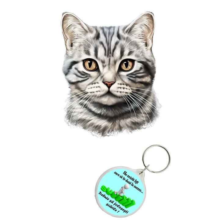 Set sticker decorativ perete, auto si geam, Pisica - American Shorthair model 6, 40 CM si breloc succes