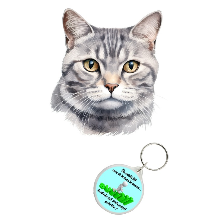 Set sticker decorativ perete, auto si geam, Pisica - American Shorthair model 4, 40 CM si breloc succes