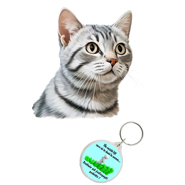 Set sticker decorativ perete, auto si geam, Pisica - American Shorthair model 9, 40 CM si breloc succes