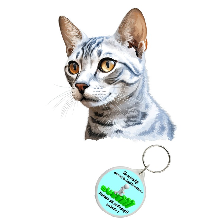 Set sticker decorativ perete, auto si geam, Pisica - Arabian Mau model 1, 40 CM si breloc succes