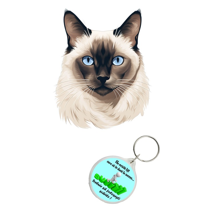 Set sticker decorativ perete, auto si geam, Pisica - Balinese model 4, 40 CM si breloc succes