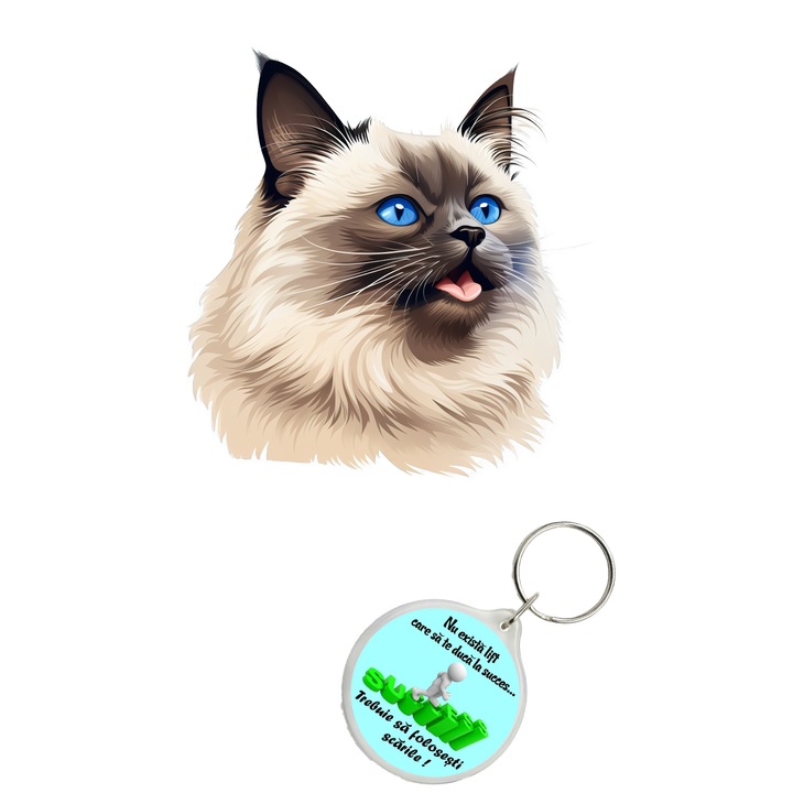 Set sticker decorativ perete, auto si geam, Pisica - Birman model 9, 35 CM si breloc succes