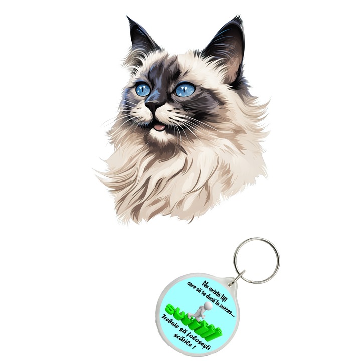 Set sticker decorativ perete, auto si geam, Pisica - Birman model 10, 40 CM si breloc succes