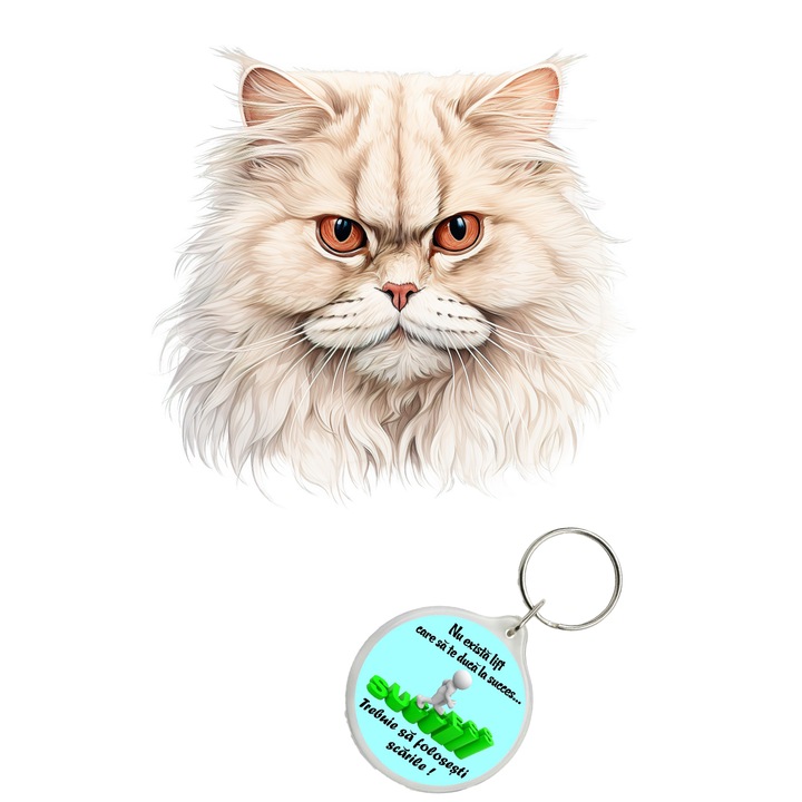 Set sticker decorativ perete, auto si geam, Pisica - British Longhair model 2, 40 CM si breloc succes