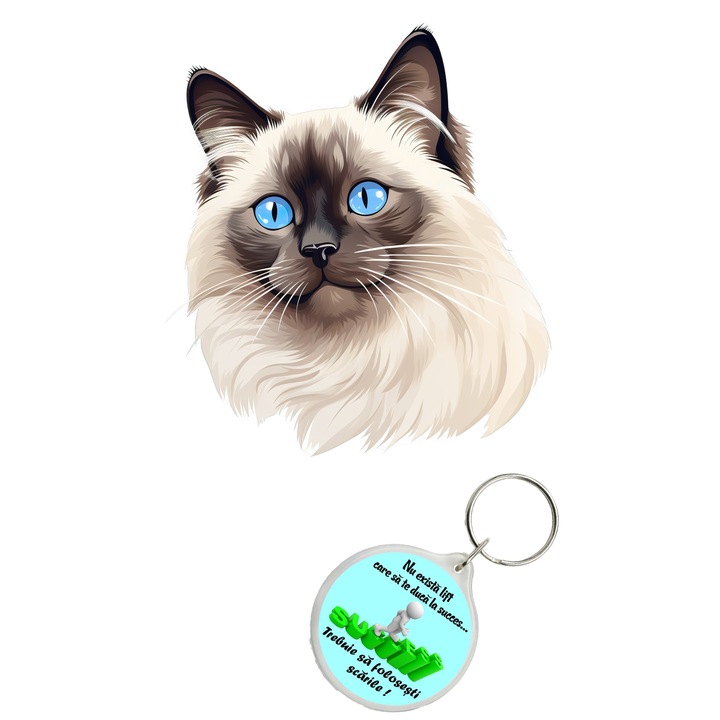 Set sticker decorativ perete, auto si geam, Pisica - Birman model 6, 30 CM si breloc succes